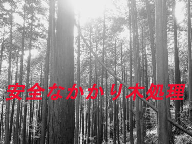 【かかり木処理】プロが教える！安全なかかり木処理の方法