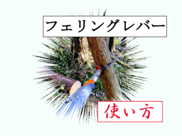 【かかり木処理】正しいフェリングレバーの使い方【画像解説あり】