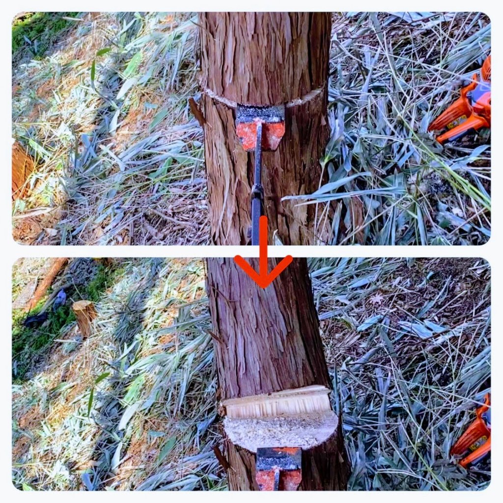 伐倒の時、追い口に先端を差し込み木を起こす方法